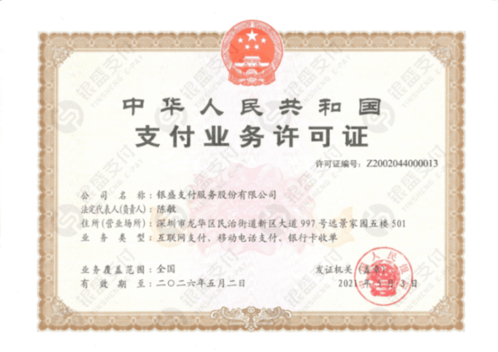 银盛支付